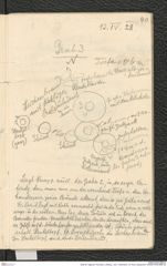 Seite 56, Tagebuch "Dürnstein | Wöbling - neol. | Höbenbach | Kl. Rust | Noppendorf" (NHMW-PRAE-BBB-45)